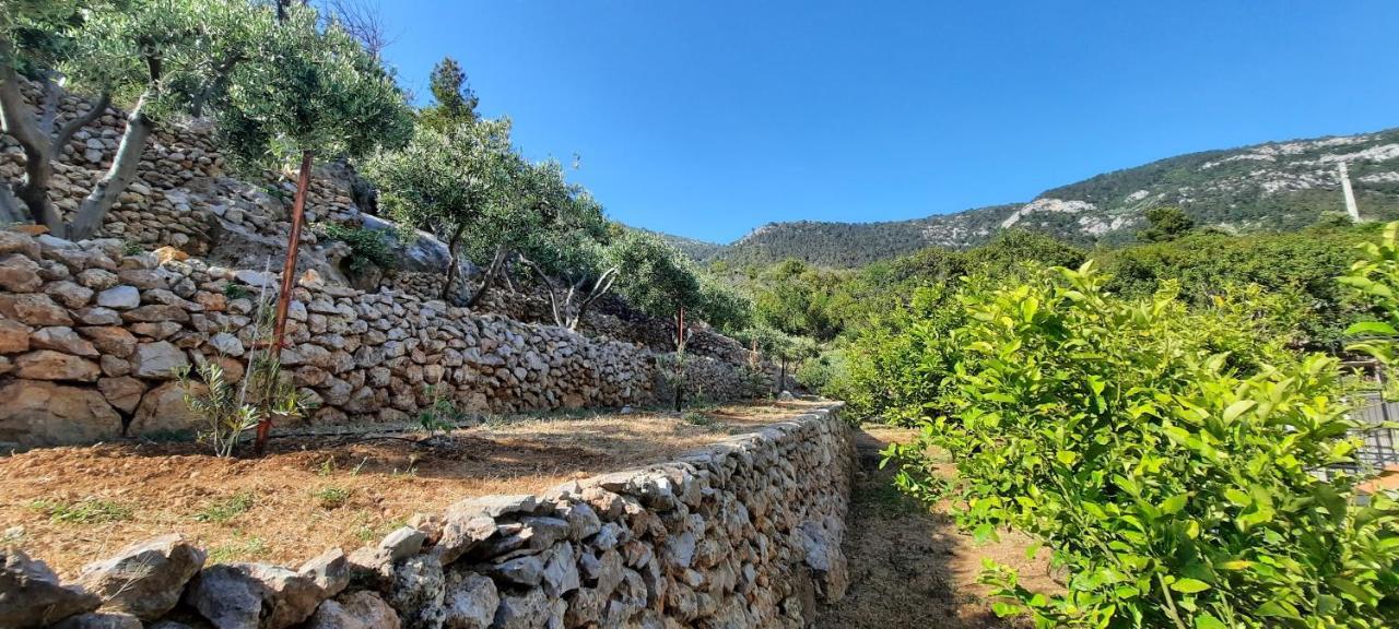 Apartments Suho Komiža Εξωτερικό φωτογραφία
